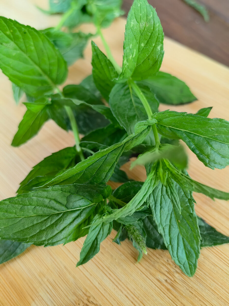 Сорт лимонная мята. Идеальна для десертов, напитков и в салаты