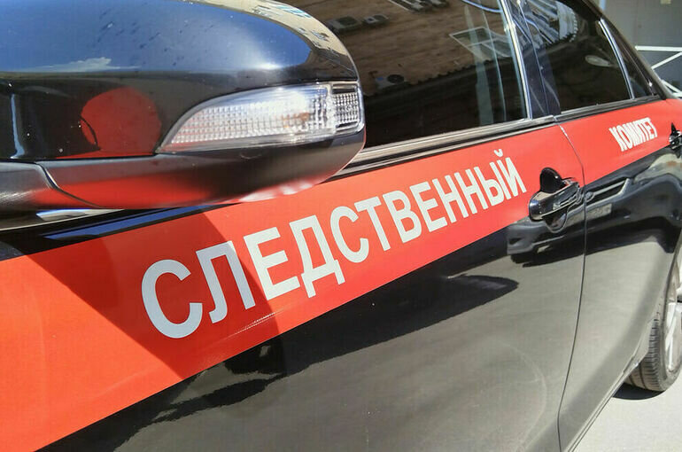   Алина Цыганова/ПГ