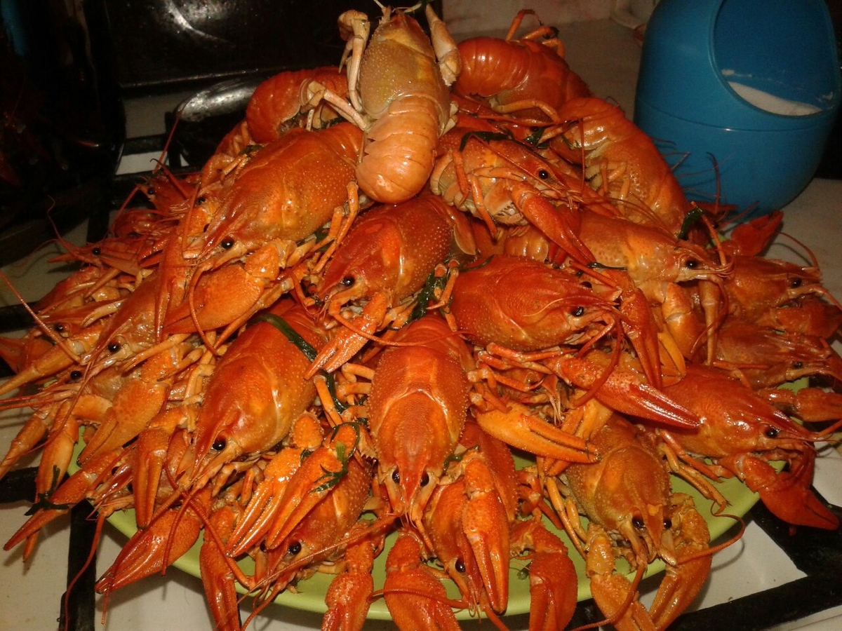 подлинное фото наших раков не сохранилось... так что просто фото из сети)