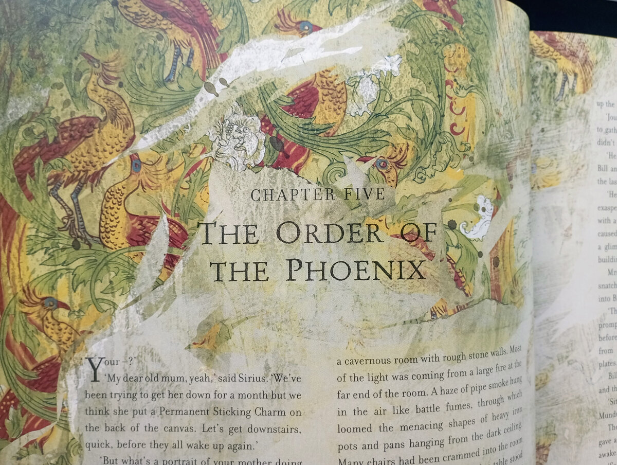 Гарри Поттер и Орден Феникса»: последняя книга в серии с иллюстрациями  Джима Кэя | Graphic novels | Дзен