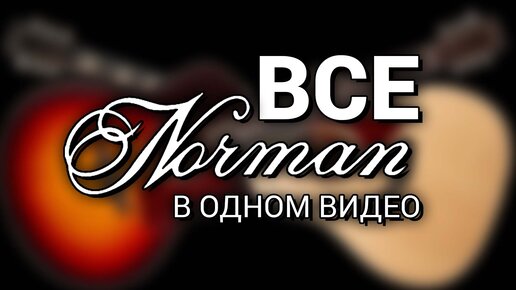 Юра Полежаев знакомится с канадскими гитарами Norman