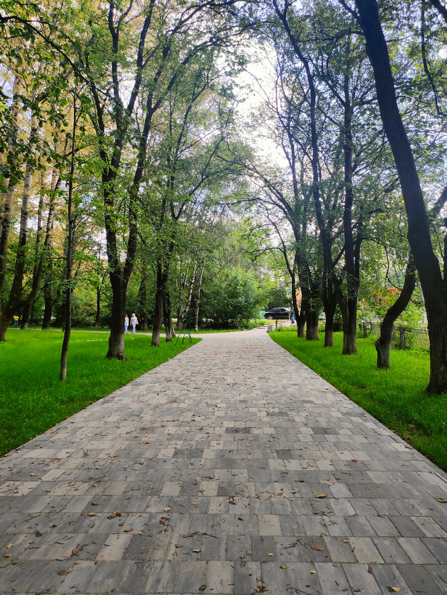 Куда сходить с детьми в Вологде. Парки Вологды. Где детские площадки? |  ЯжМамАня | Дзен