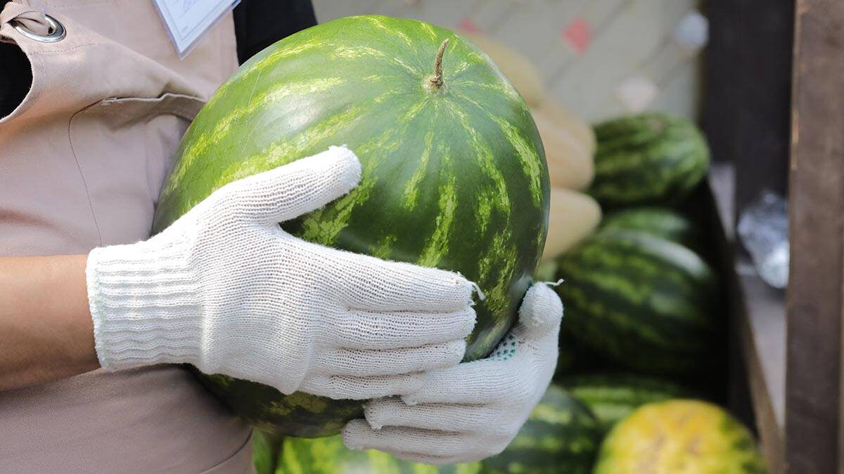    Фото: Софья Сандурская / АГН Москва