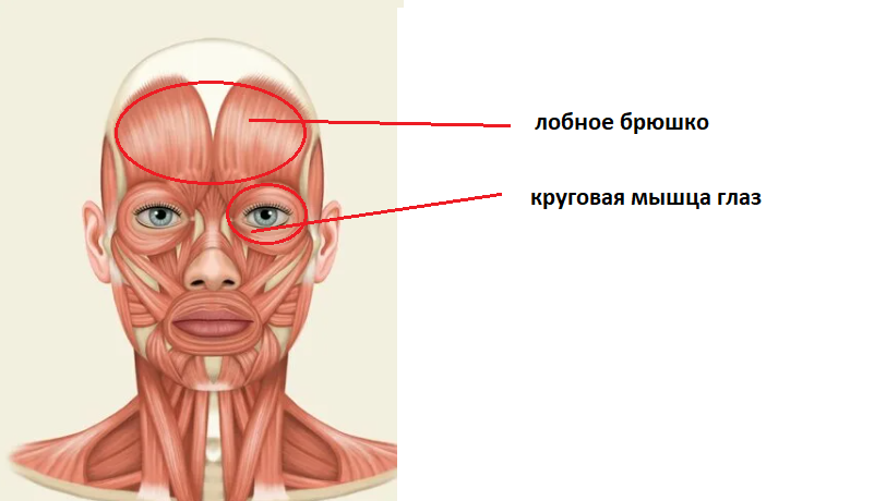 Как сделать бороду гуще? Как получить красивую и густую бороду