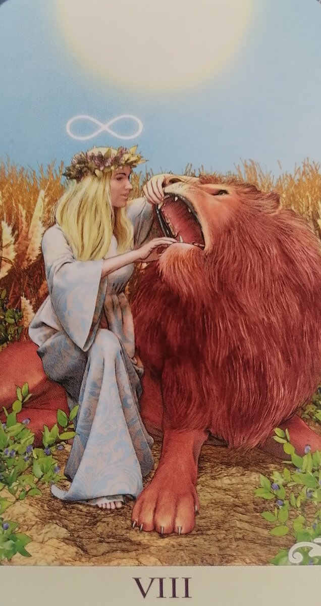 Аркан сила на заставку телефона. Николай Юдин арканы Таро. VIII сила Таро. Старший Аркан сила Таро 8. Сила Перевернутая Таро