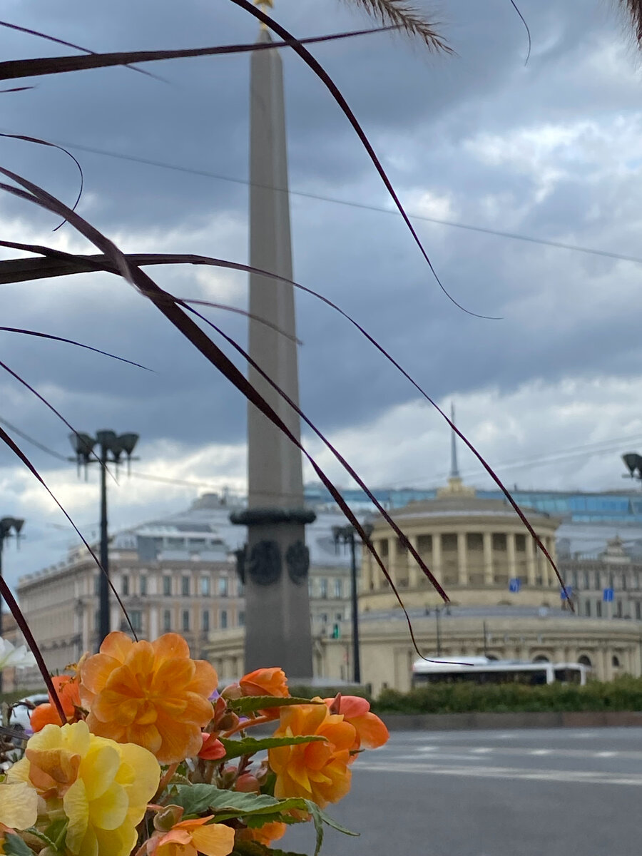 Места в центре Петербурга, известные не всем | Погуляльщица | Дзен