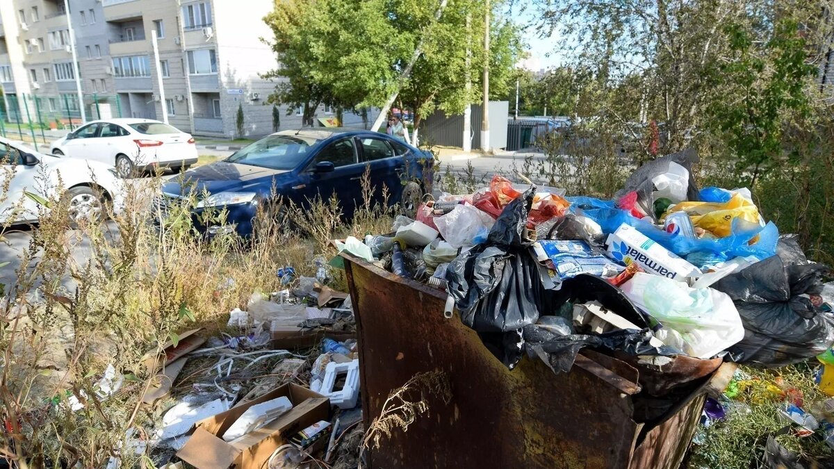     Бывший мусорный регоператор Волгоградской области «Ситиматик-Волгоград» пожаловался антимонопольщикам на лишение своего статуса, однако те признали его «изгнание» законным, сообщает ФАС России.