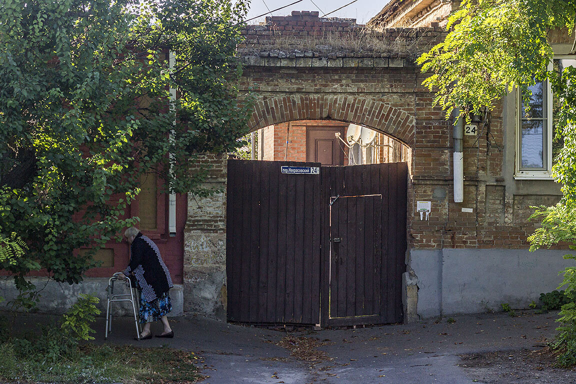 Ветка дерева. Таганрог фото города 2022. Особняк берии на качалова. Автобус. Краснодар, ул.