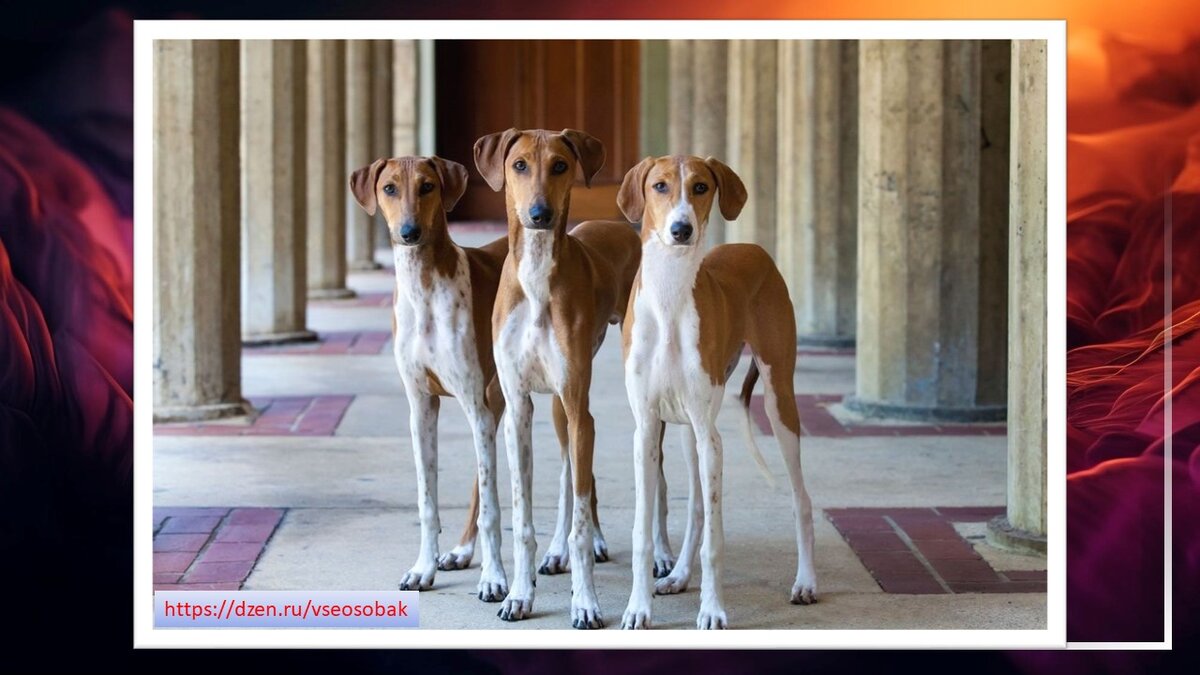 Из открытых источников