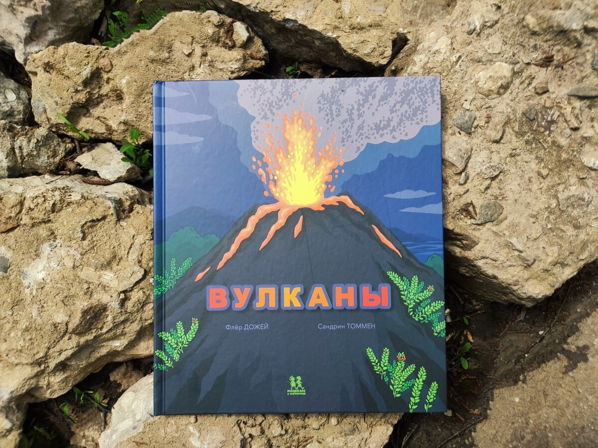 5 захватывающих детских книг про путешествия, степи и вулканы | Научпоп для  детей | Дзен