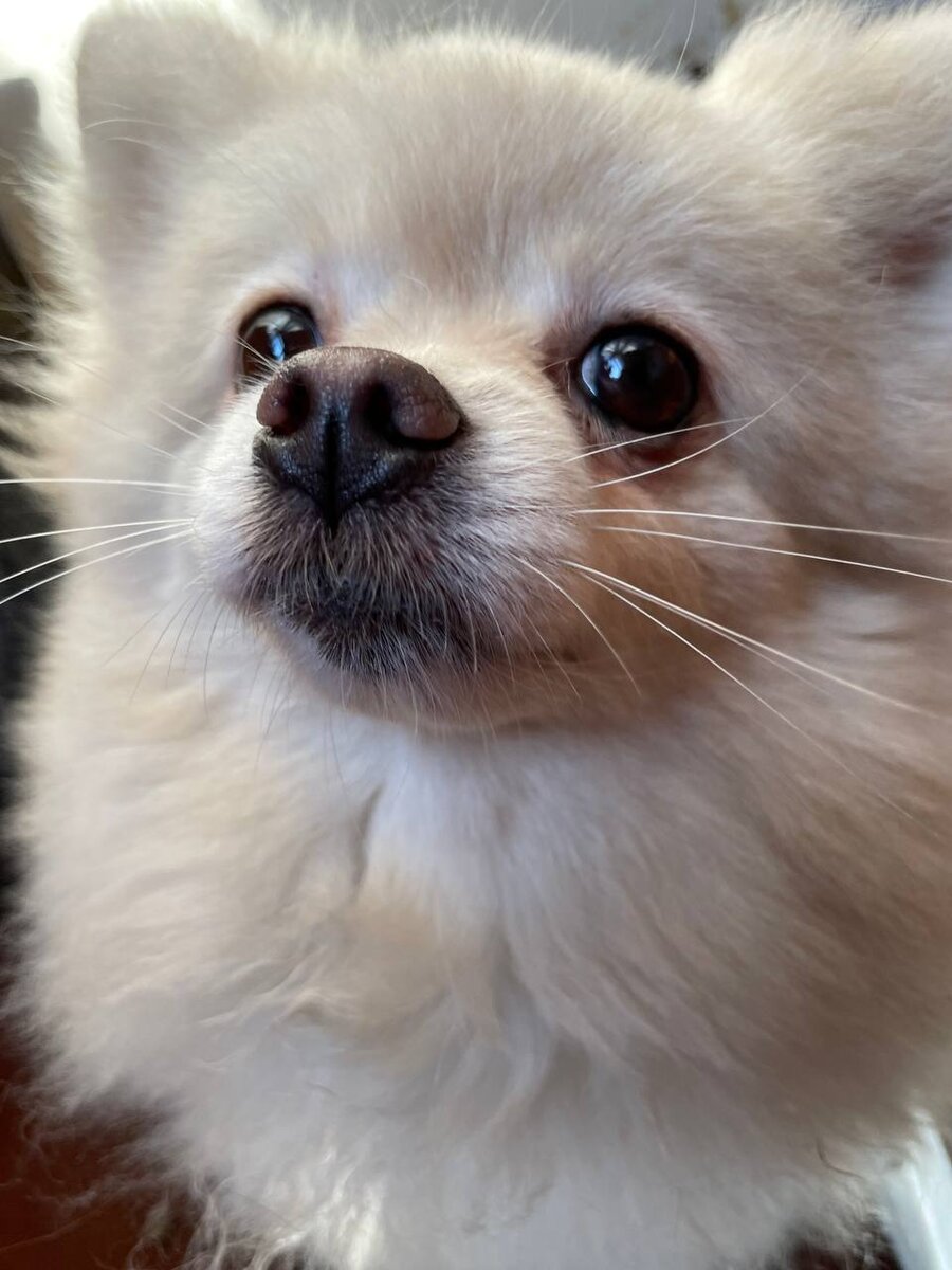 Из личного архива