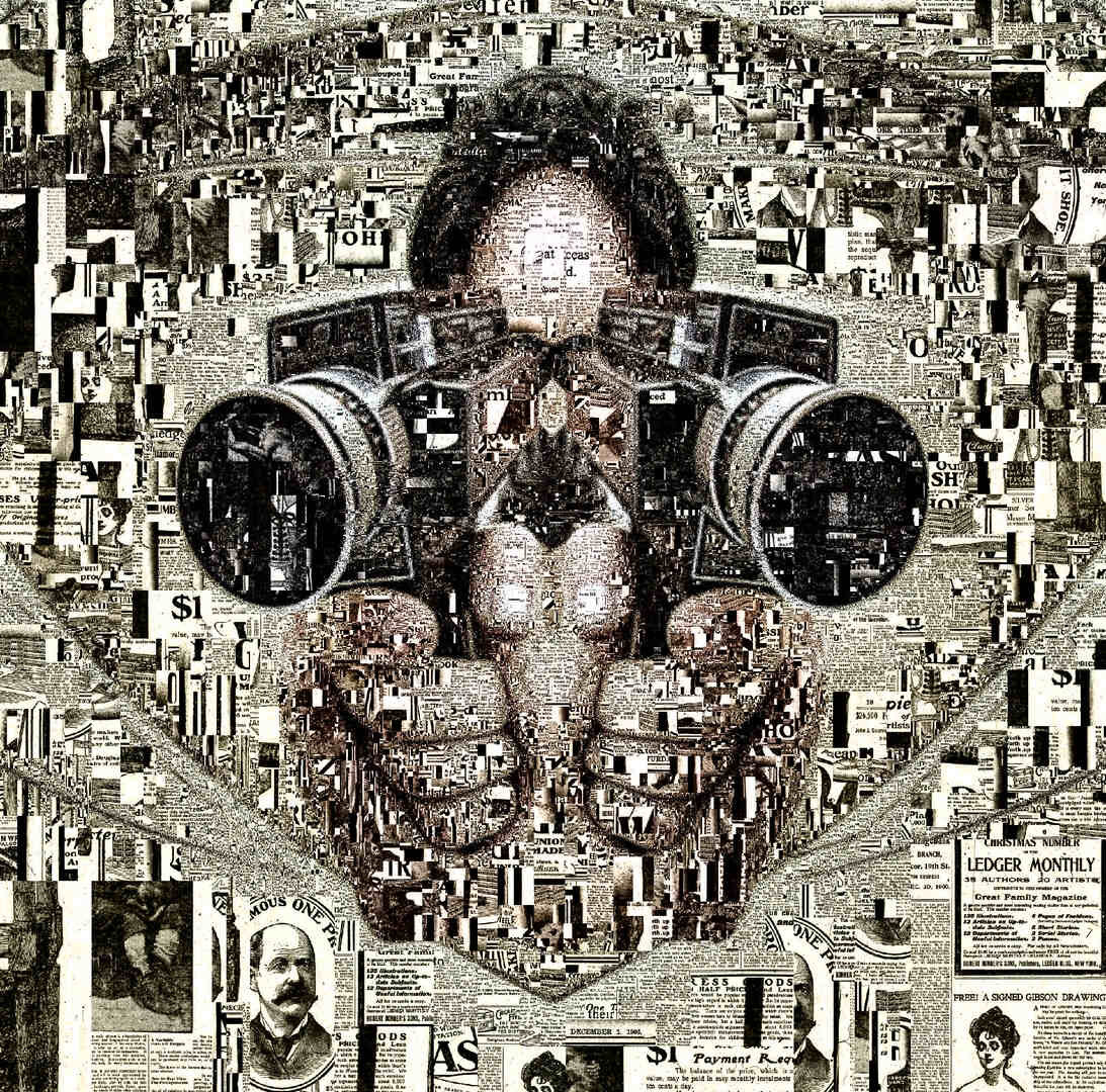 Кирилл Челушкин