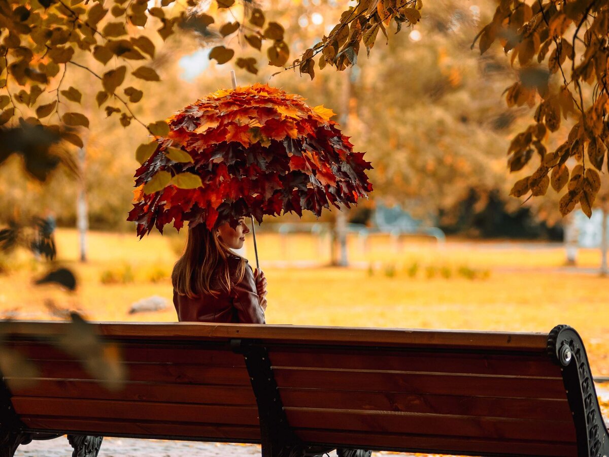    Осень — красивое время. Не снимать осенью — что-то сродни преступлению / Фото: Алиса Смирнова, Фотосклад.Эксперт