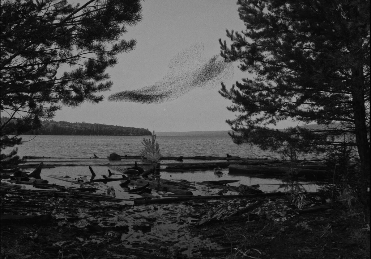    «Сказка» Сокурова и «Жанна Дюбарри» Майвенн: кинофестиваль Voices глазами BURO. (фото 4)