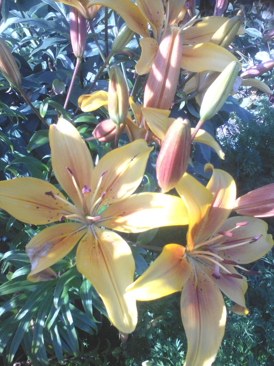 Фото автора из архива