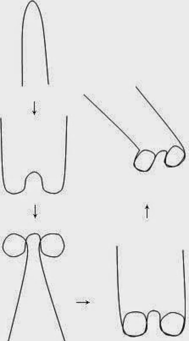 Фото неизвестного автора из интернета