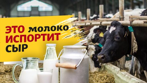 Смотреть самое популярное домашнее порно на Порно Молоко