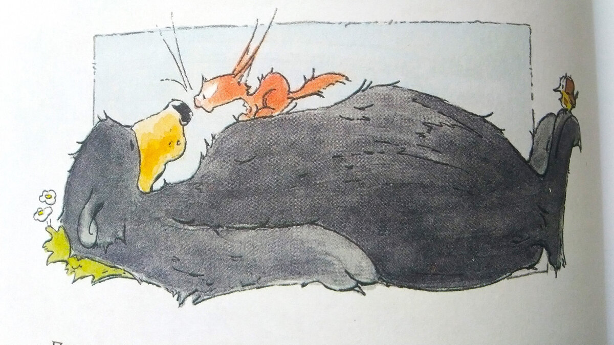 Андреас Х. Шмахтл "Бельчонок, Медведь и охапка приключений". Фото автора. Книга из домашней библиотеки.