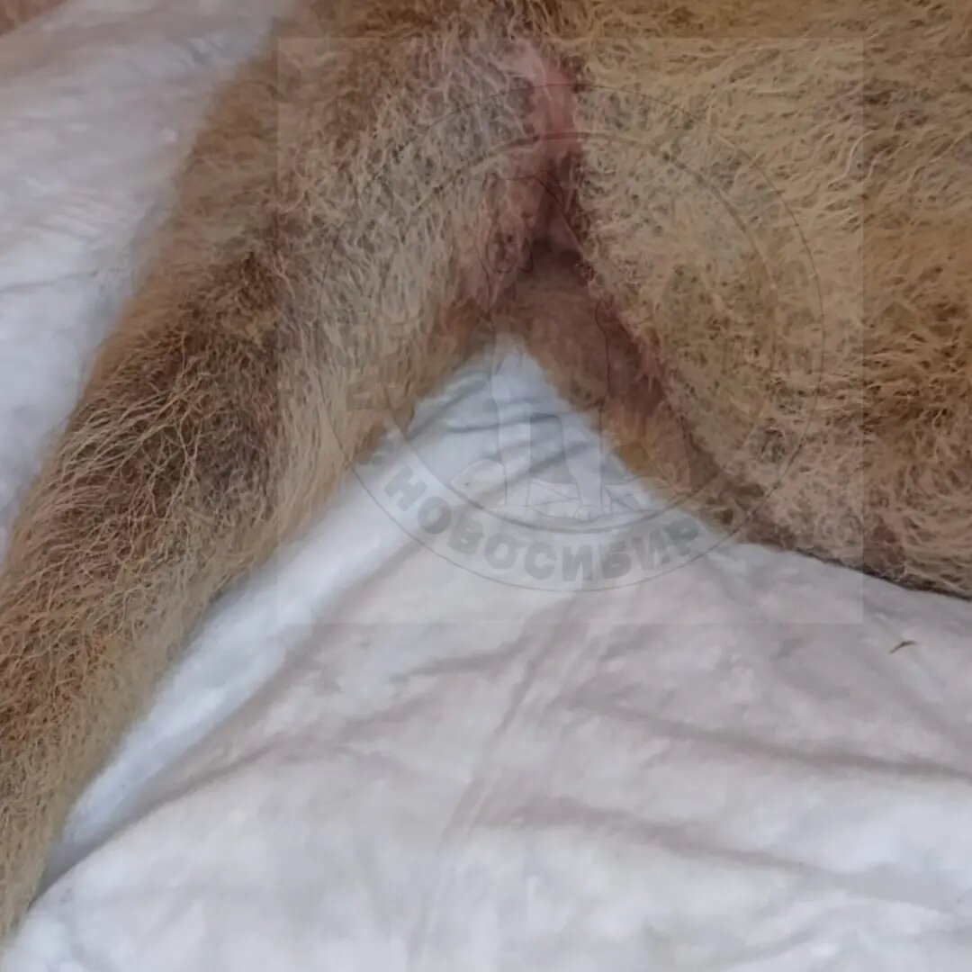 Всё затянулось по вторичному натяжению 