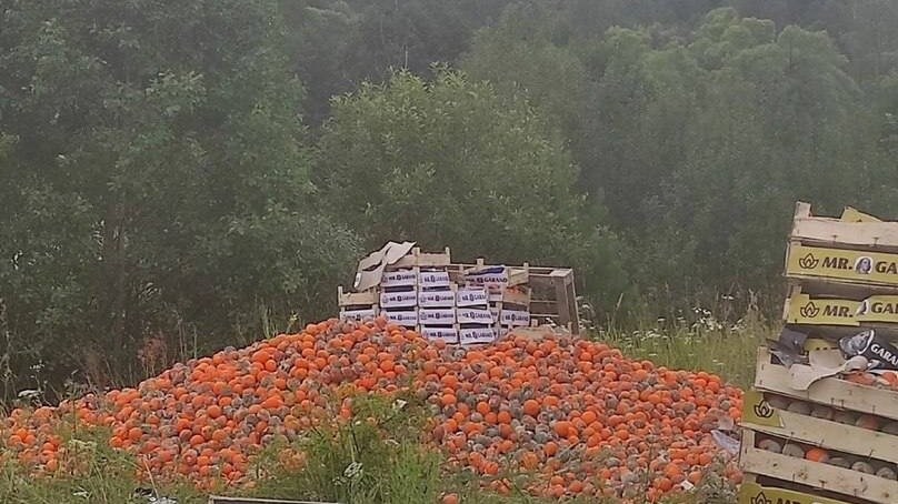 Огромный тайник спящих прохождение