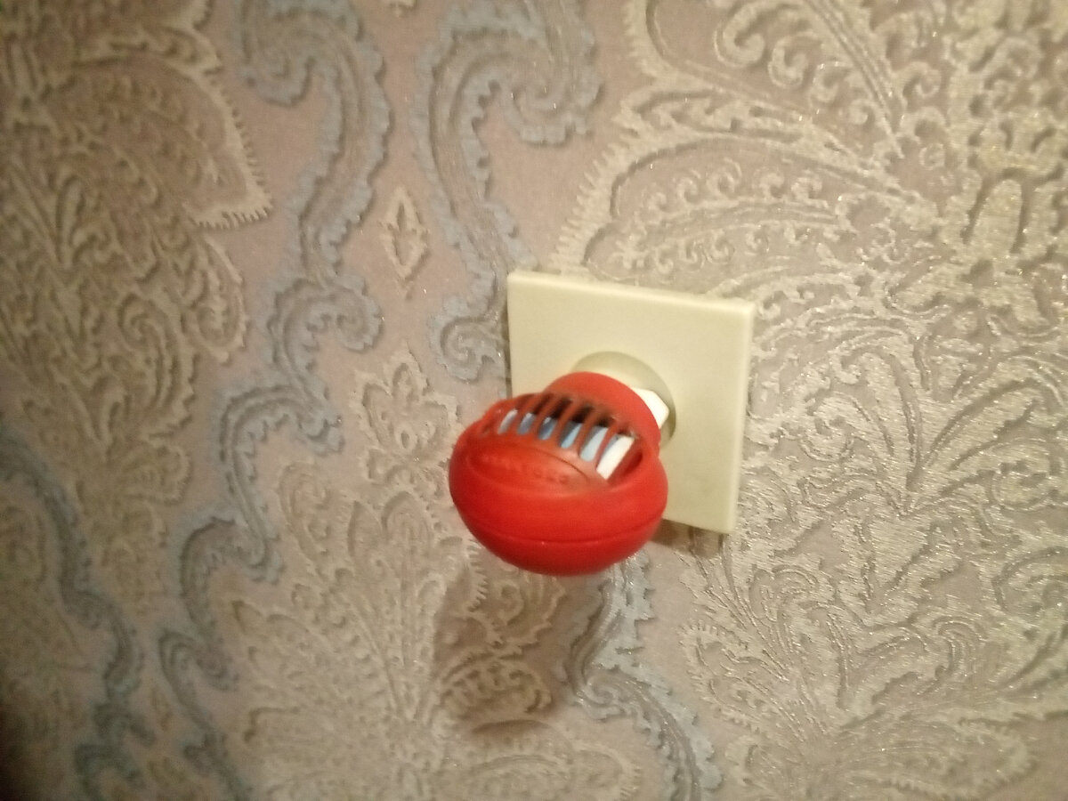 Фиговина с пластинками, которая не помогает