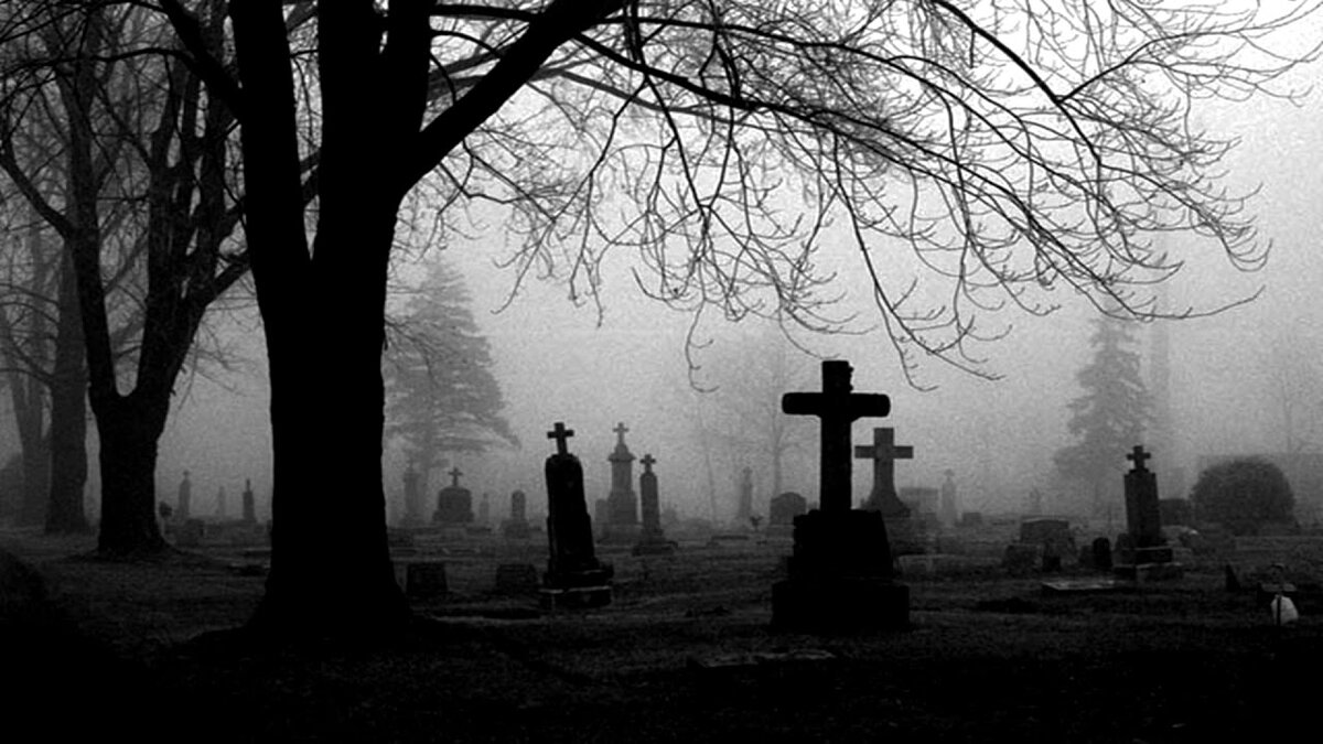 Вдалеке, под старым деревом, она заметила черный силуэт.