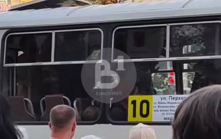    Скриншот видео