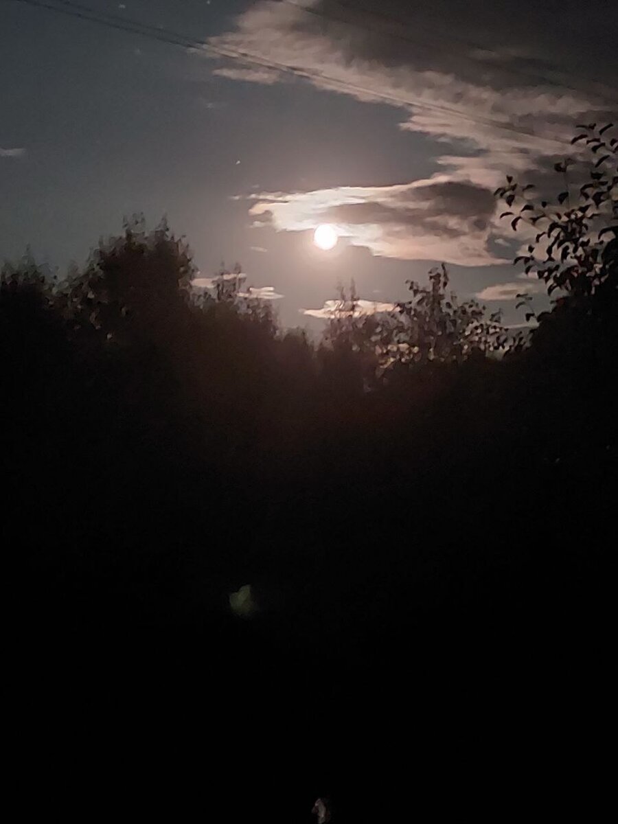  в ожидании полнолуния, фото Людмила Коссович