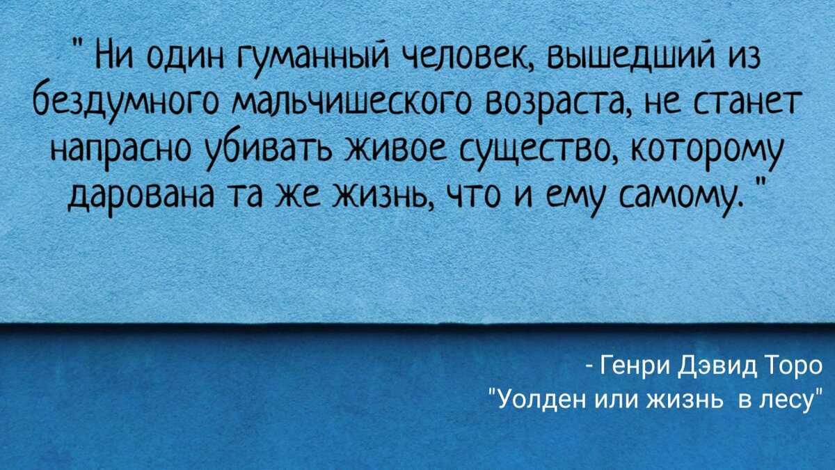 Цитатный беспредел. 15 цитат: от Дика до Майн Рида | Рюкзак с книгами | Дзен