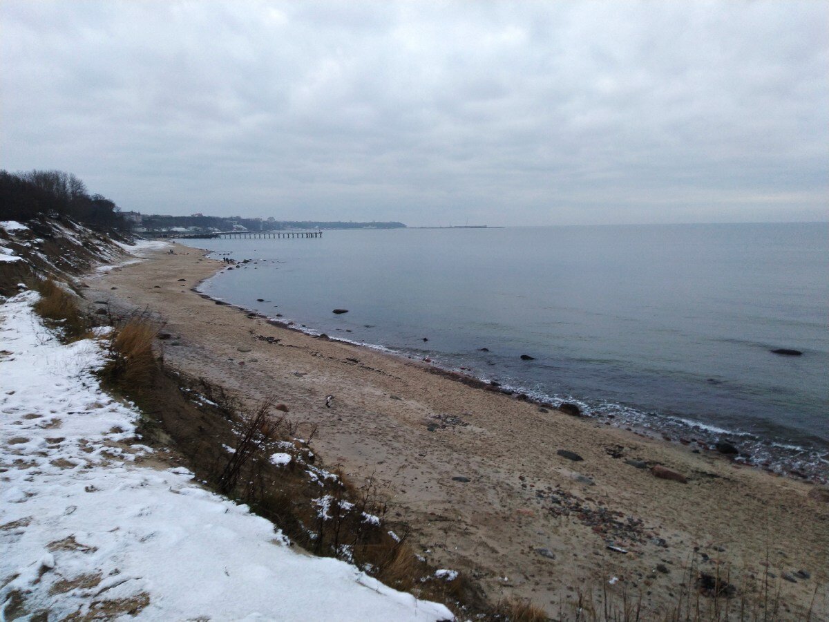 Берег Балтийского моря в Заостровье