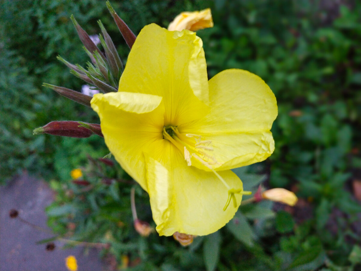 Само исходное фото 