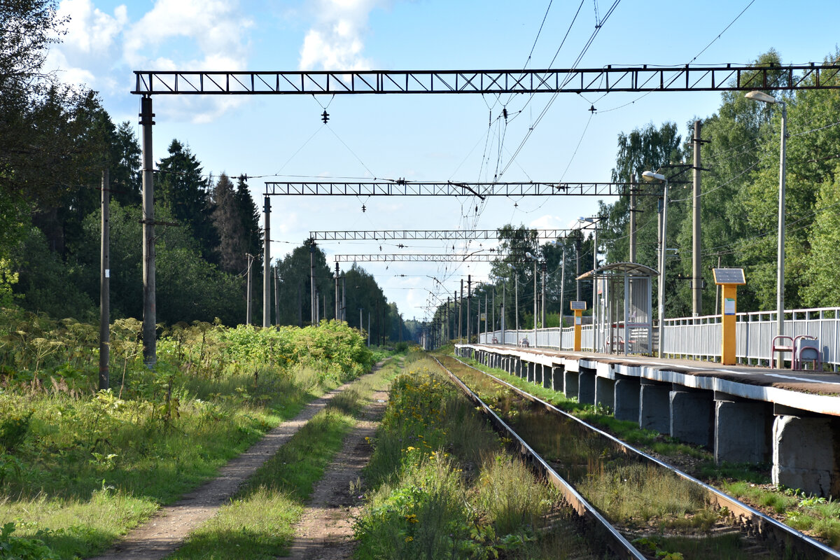 Строительство разъезда Лебзино. Вид в сторону Савёлово.
