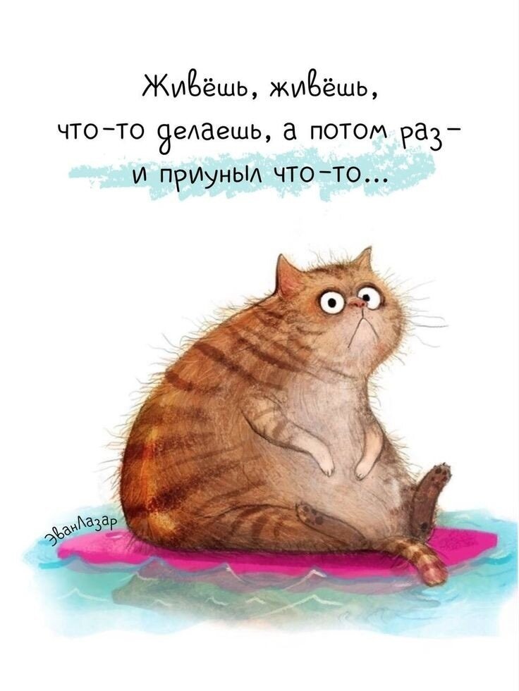 от отсутствия воды я как этот приунывший кошак :/
