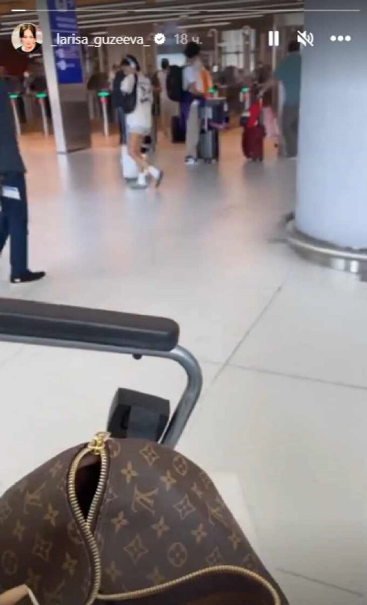 Лариса Гузеева / Instagram* (принадлежит Meta*, она запрещена в России и признана экстремистской)