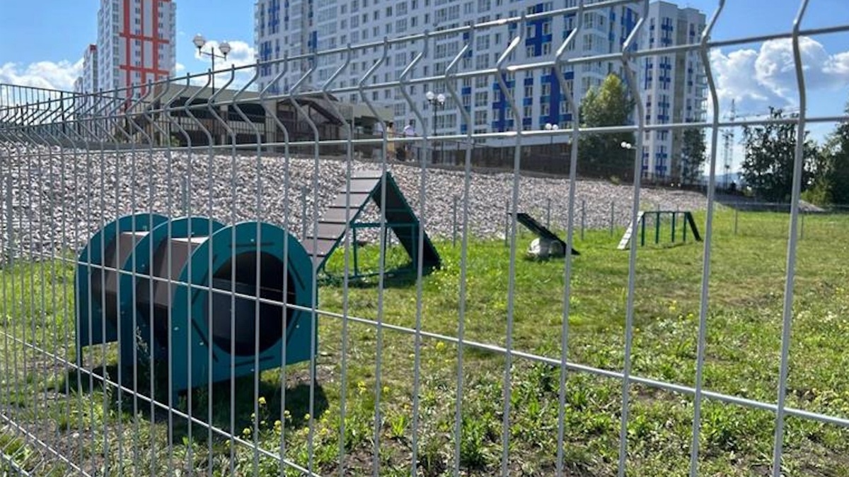     В Красноярске жители микрорайона «Тихие Зори» пожаловались на новую площадку для выгула собак. По их мнению, она небезопасна для питомцев.