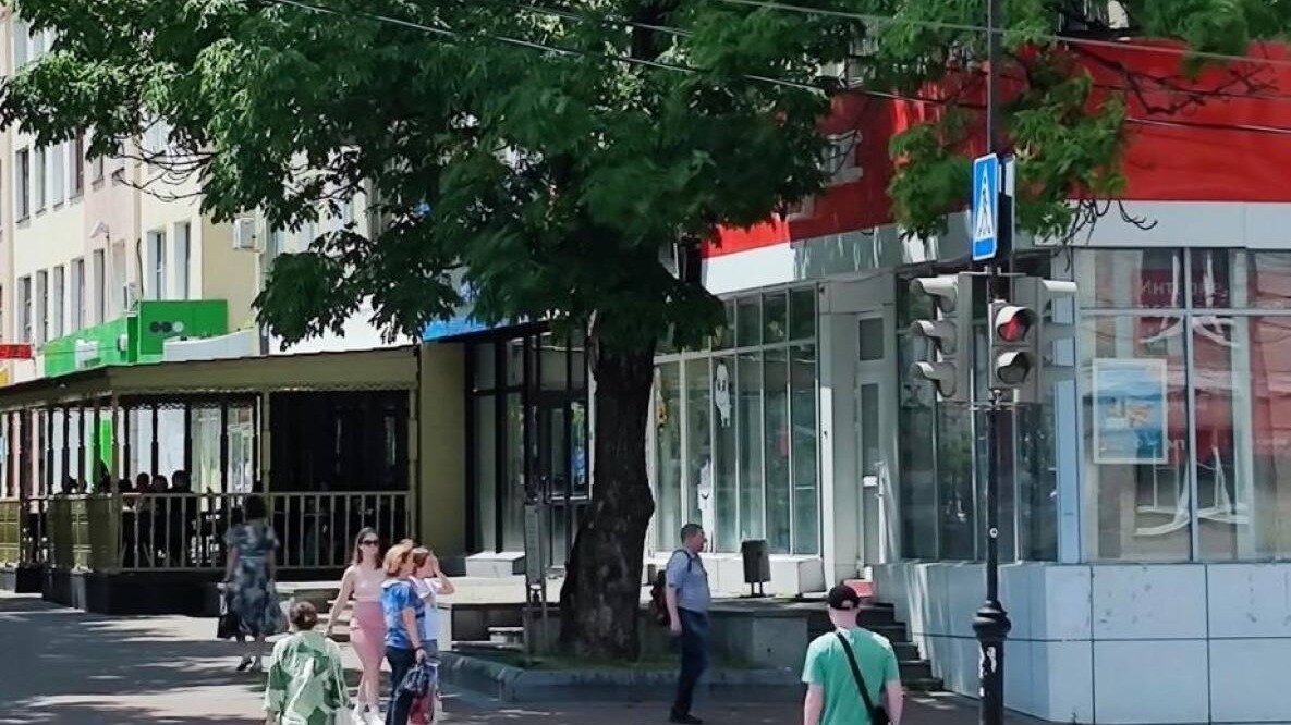     В национальном конкурсе «Российское дерево года 2023» хабаровская достопримечательность заняла четвёртое место.