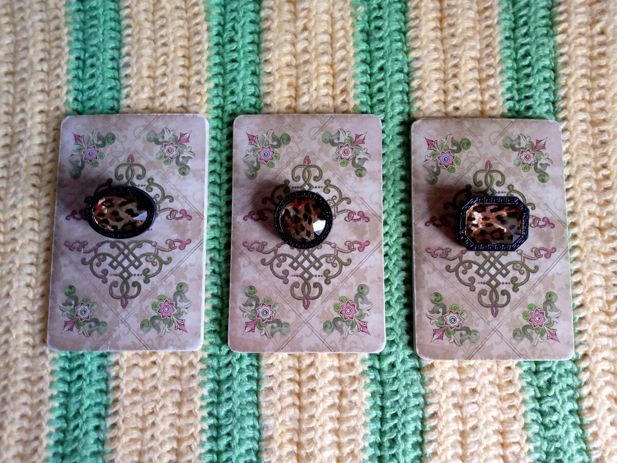 Варианты прогноза. Фото автора