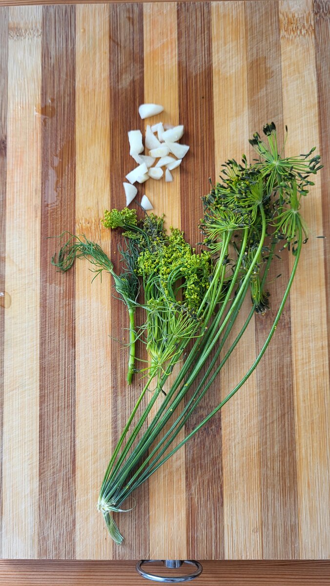 Зонтики укропа и чеснок