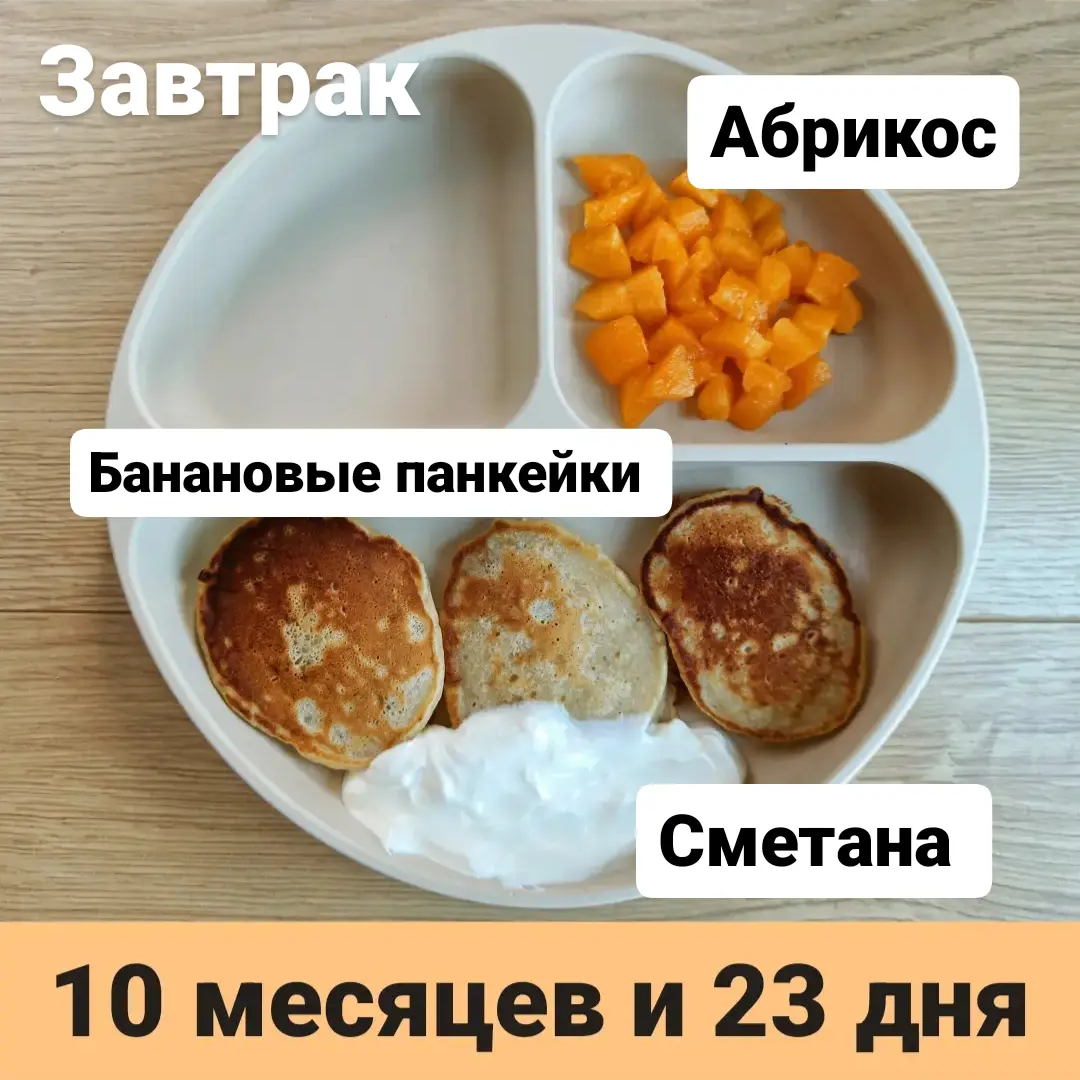 Пример тарелки в 10 месяцев 