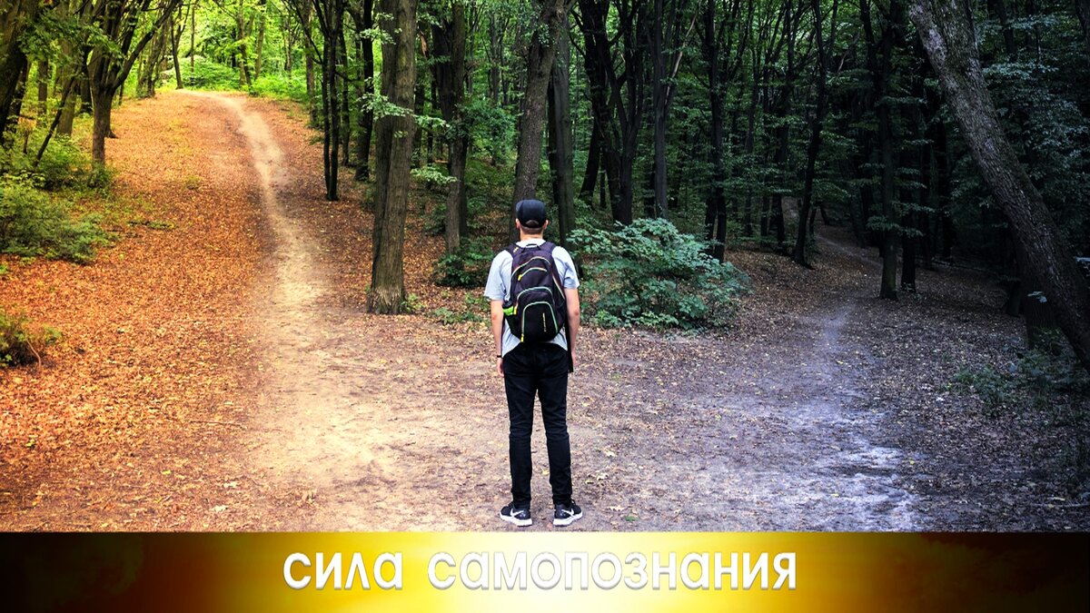 Какие проблемы решает метод Расстановок по Хеллингеру.