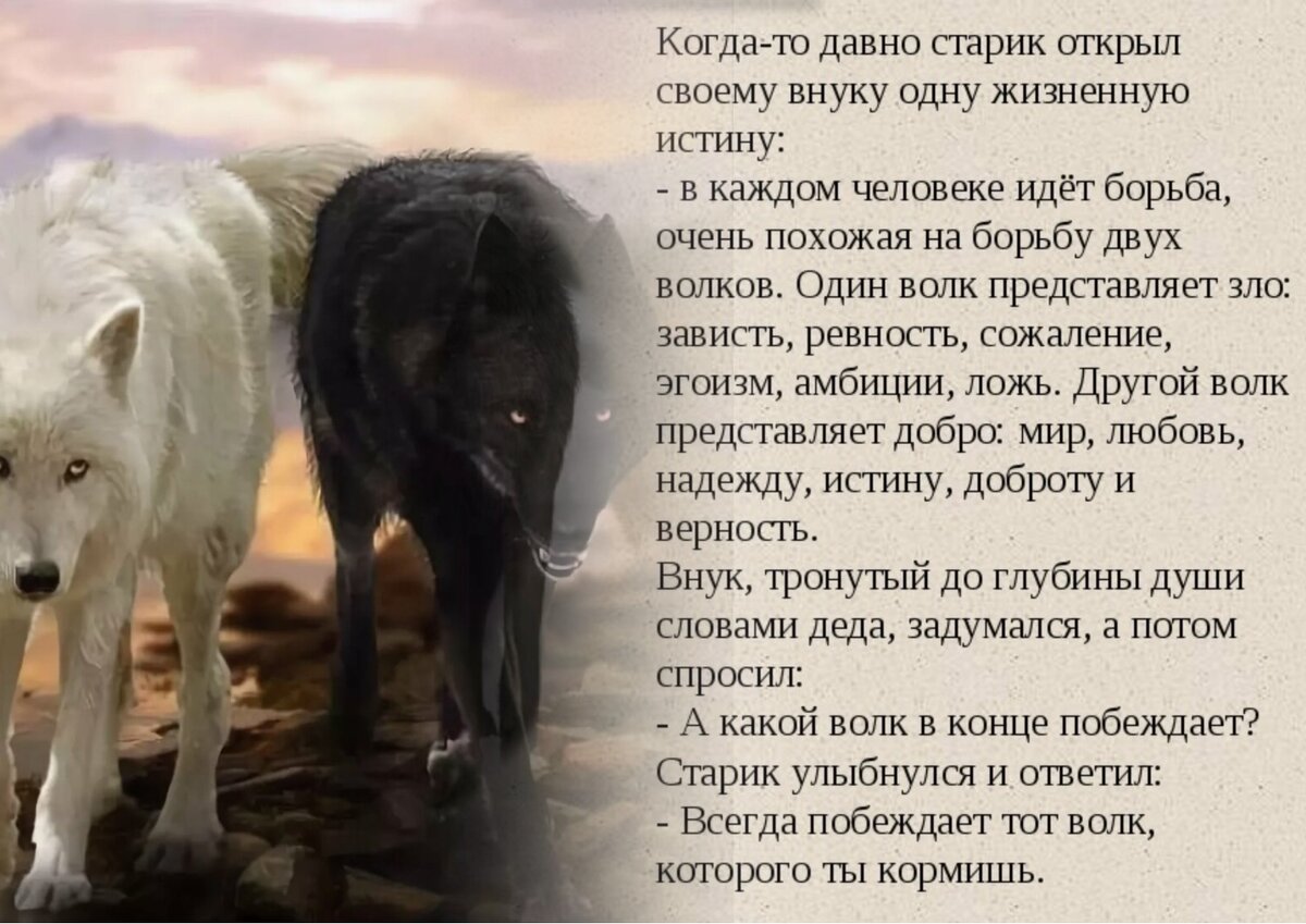 Коллаж содержит Яндекс Картинки.