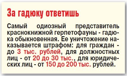    Какой же ты гад!