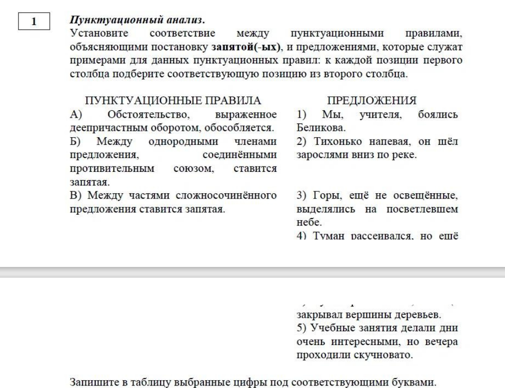 Что может измениться в ОГЭ по русскому языку в 2024 году? | Экзамен - это  про100 | Дзен