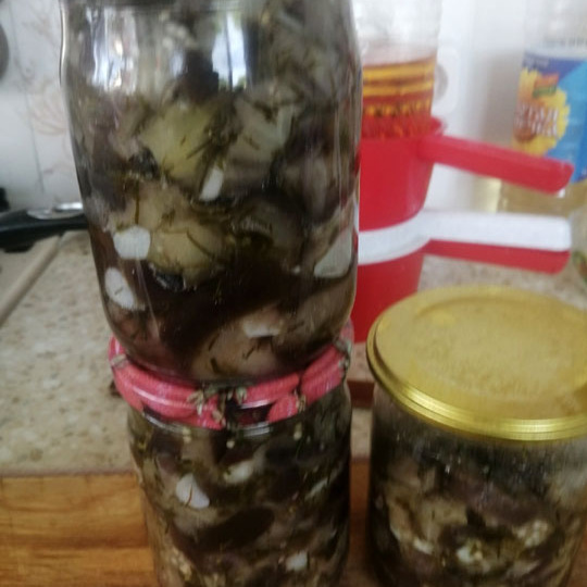 Запасы на зиму: Маринованые баклажаны