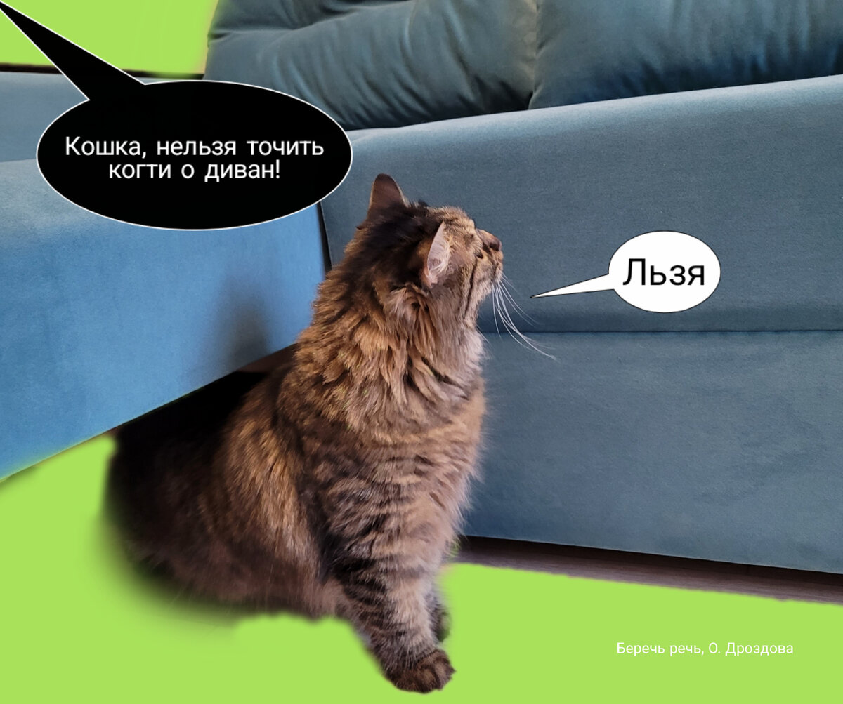 моя пушистая помощница :)