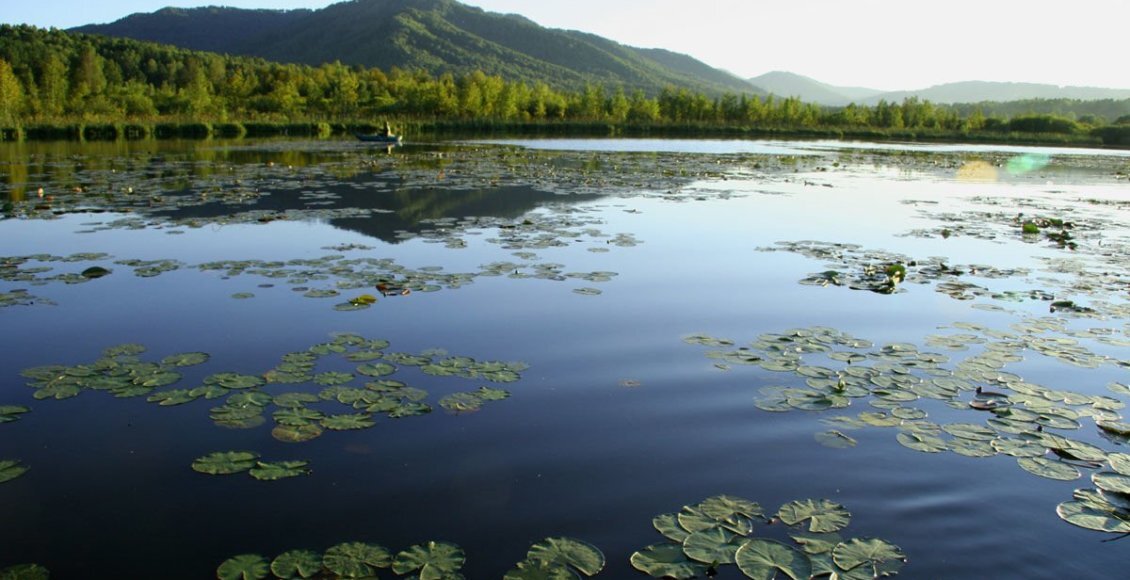    Фото: vsegda-pomnim.com