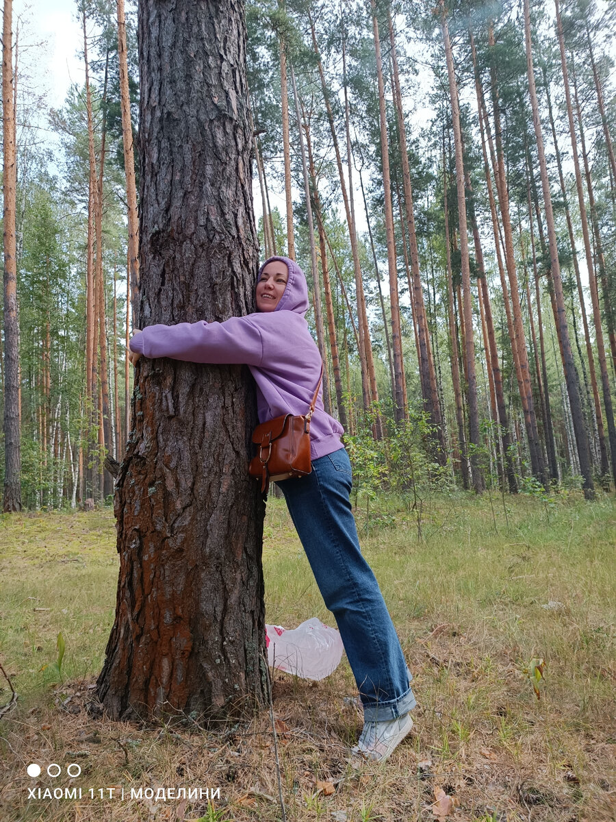 Первая встреча с лесом после долгой разлуки