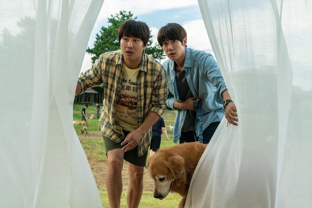 Кадр из фильма "Мой пёс Руни"