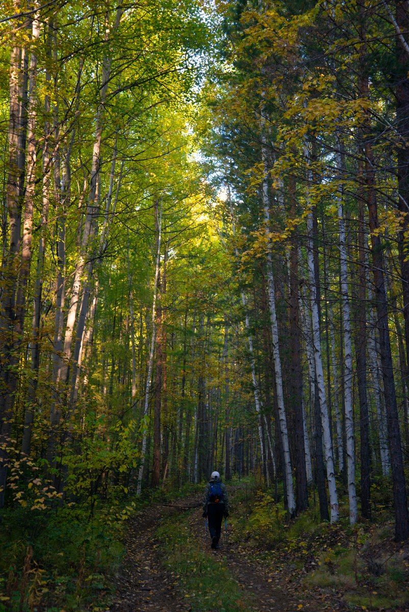 Начну я этот рассказ с того, что место это для меня особенное. Попасть сюда я мечтал ещё будучи подростком, но всё сложилось так, что добрался я сюда только сейчас. Ещё будучи детьми мы с братом узнали про это место. Про то, что тут есть огромные останцы древних гор - "каменные столбы" - высотой по 20-30 метров и больше. Конечно, как всё древнее, эти горы и скалы будоражили нашу фантазию, очень хотелось своими глазами взглянуть на эти рассыпавшиеся горы, которые, наверное, ещё до динозавров были высоки, а к нашему времени осыпались, и остались от них лишь монументальные остатки наиболее твёрдых пород. Но, к сожалению, попасть я сюда в подростковом возрасте не сумел, а уже во взрослом возрасте, имея походный опыт, сделал несколько неудачных попыток. Не могу вспомнить точно, 2 или 3 раза я сюда ходил и не мог дойти до них. И вот наконец это свершилось! В эти выходные мы всё же добрались до этого уникального, на мой взгляд, места! Но давайте по порядку.
