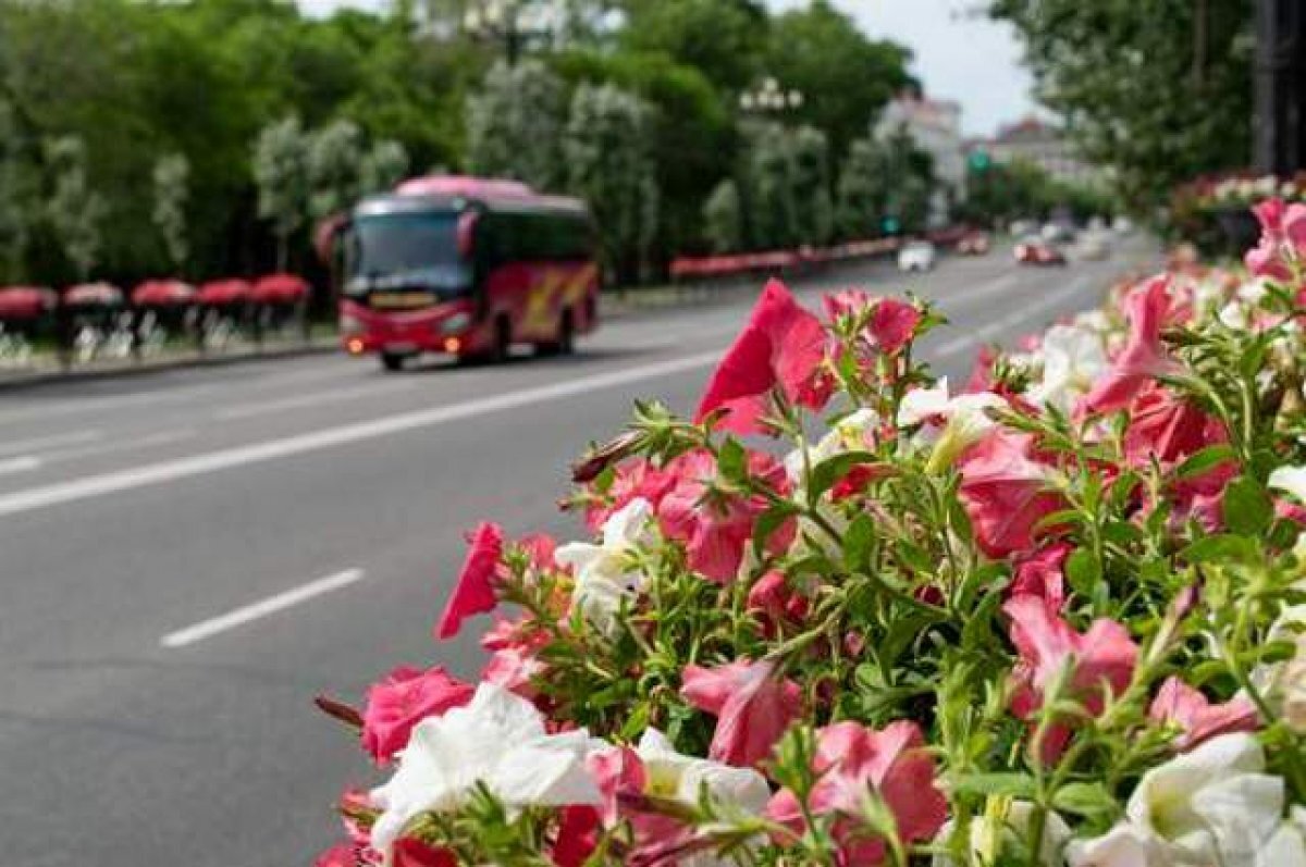    У хабаровского автобуса №47 появился перевозчик